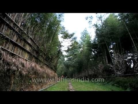 On the way to the 'Egg Garden' : Heritage Tour continues