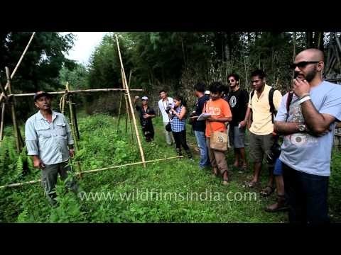 'Egg Garden' of the Apatanis: On the Heritage Tour at Ziro