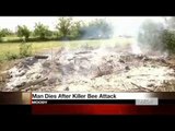 Killer bees attack: Texas man stung to death by Africanized bees