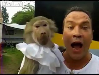 يخلق من الشبه اربعين