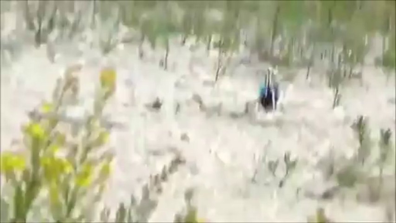 T-rex 450L Dominator 6S  test flight