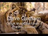 Dave Gorham from houston on UK Motorbike Forum - The Rev Counter