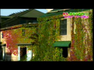 ロリカワパーティー 2013年10月 テレビ北海道