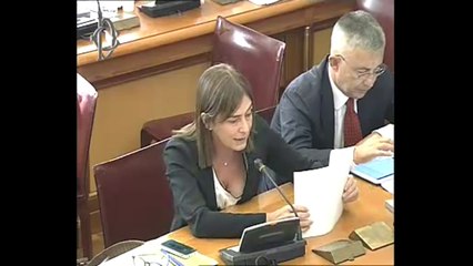 Roma - Prospettive Poste Italiane, audizione Sarmi (29.10.13)