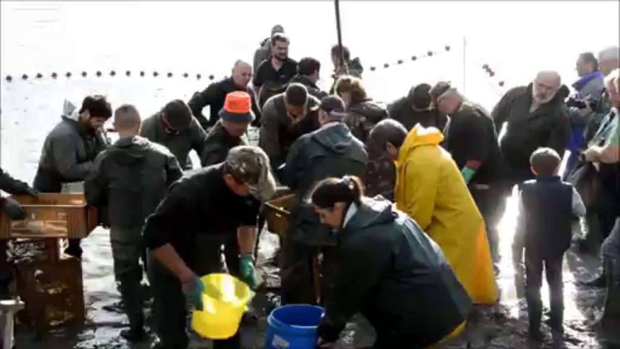 Pêche du grand étang. Arbigny 3 novembre 2013.