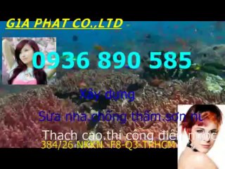 Xu ly nha bi tham tai quan tan binh HCM-US/0936890585