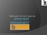Bitco Pest Control Service Ahmedabad Gujarat,Termite,Rodent,Weed control,Fogging, Video Ad-Marketing