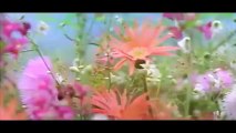 Kya Yahi Pyar Hai-Rocky Love Song [HD] (1981) - YouTube