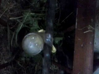 La population Mondiale vue par Benjamin Vendé