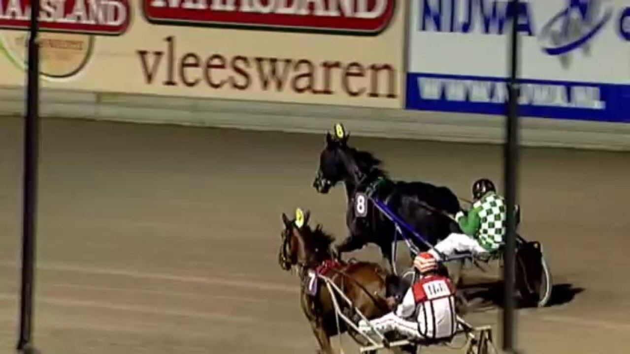 Un lapin remporte une course hippique !