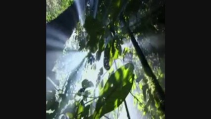 "Quand le brouillard se lève" composed and performed by Patrick Cousin de Haes