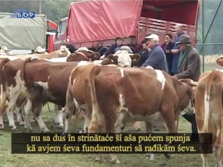 Selo moje, 03. novembar 2013.