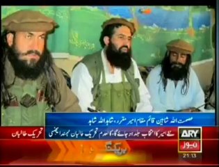Asmat Ullah Shaheen, The interim TTP chief