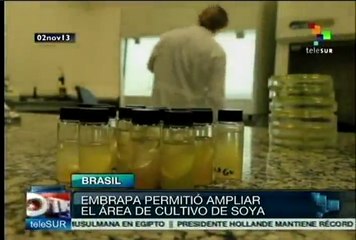 Se espera la máxima cosecha de soja en la historia brasileña