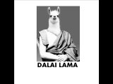 Serge le Lama les tee shirts