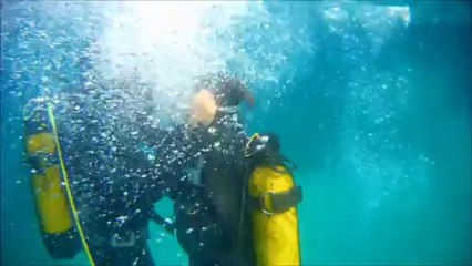 Foça Dalış Merkezi Baygın Dalıcı Kurtarma Eğitimi