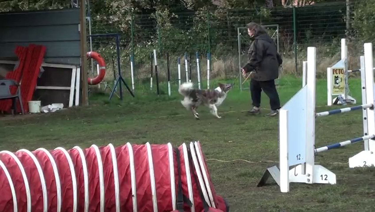 Natacha & Face agility