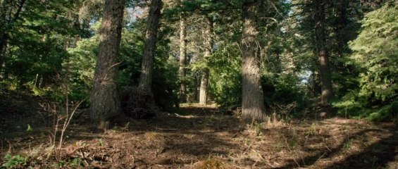 Lone Survivor Official Trailer – An Intense Battle for Survival 🎥