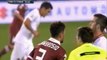 Torino - AS Roma 1:1 All Goals & Highlights (03.11.2013)