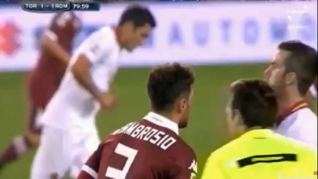 Torino - AS Roma 1:1 All Goals & Highlights (03.11.2013)