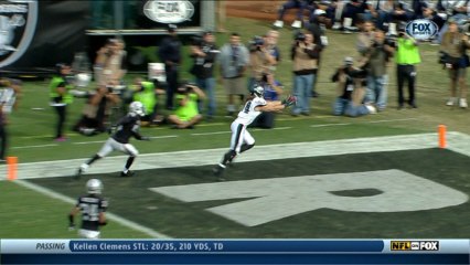 Riley Cooper 17-yard TD catch