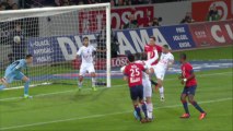 But Nolan ROUX (27ème) - LOSC Lille - AS Monaco FC (2-0) - 2013/2014