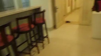 Can Ho Ngan Han Tphcm Cho Thue Call 0977771919