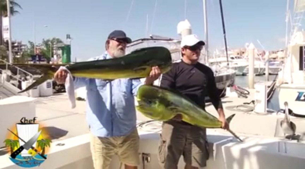 Sneaky Sea Lion Steals Monster Fish