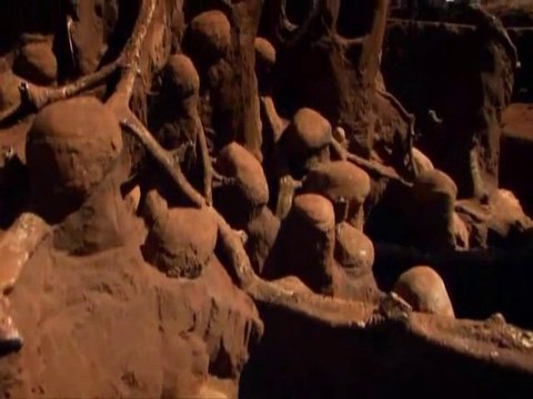 Un nid de fourmis géantes abandonné, déterré et cimenté! ENORME