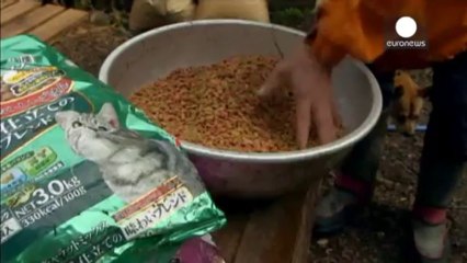 Giappone, Fukushima attesa alla prova più rischiosa