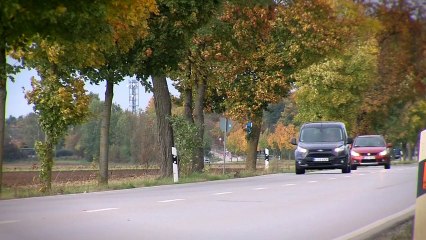 Ford Transit Connect: Nutztier im Frack
