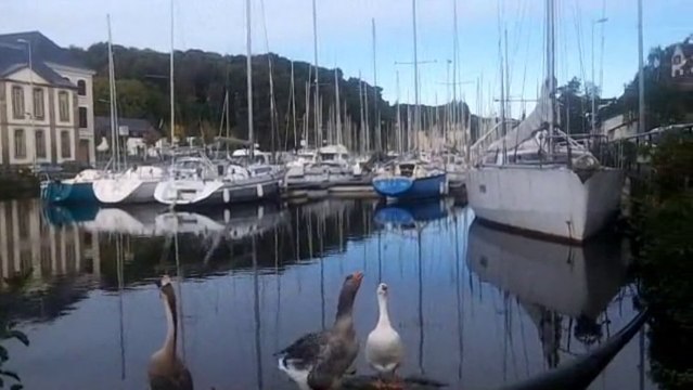 41° Semi marathon de Saint Pol-Morlaix 2013 reportage avec mario et son petit vélo