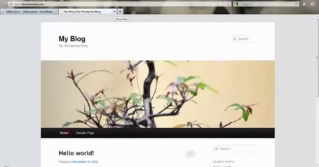 Cara Install Wordpress dengan Softaculous di cPanel Hosting By riauhost.net