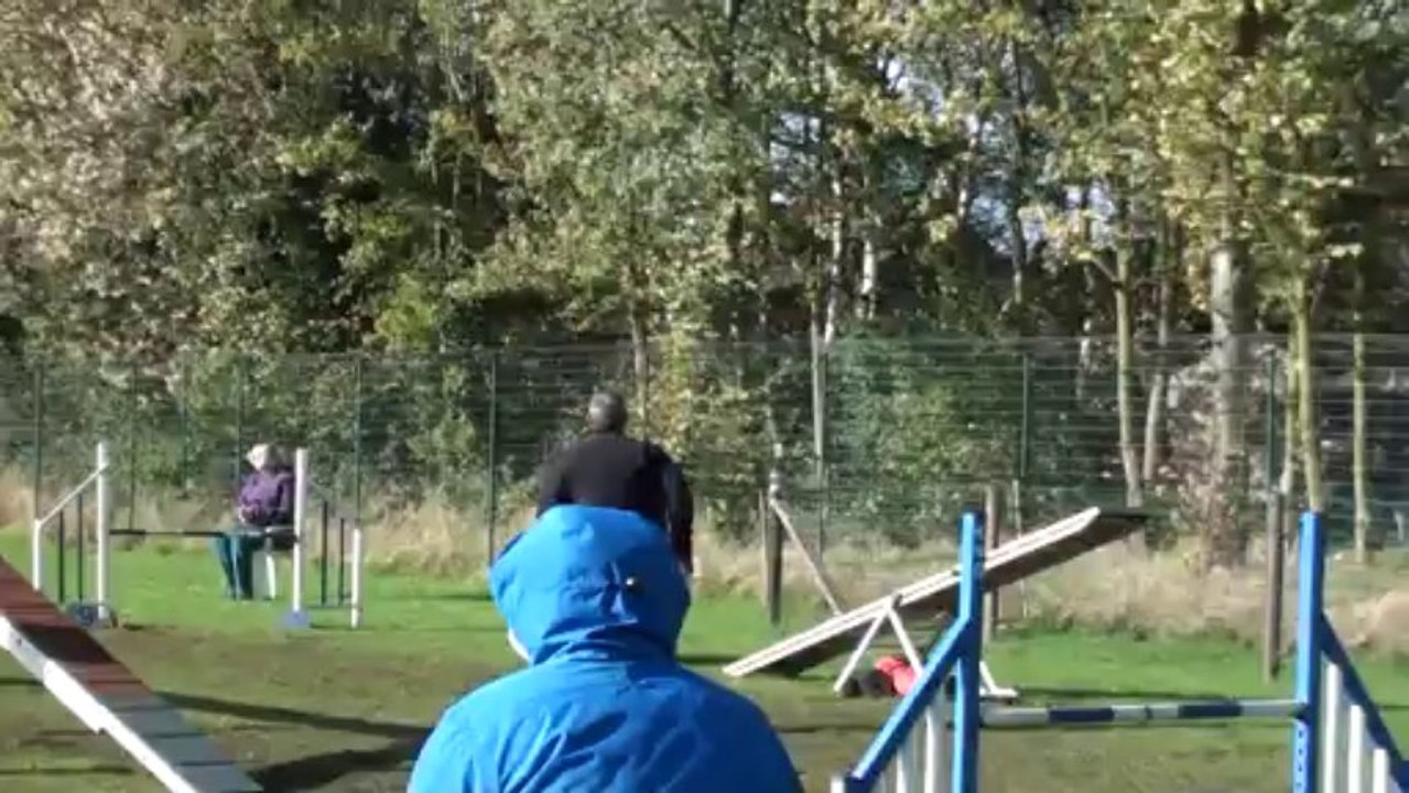 Stephan et Kiwi agility