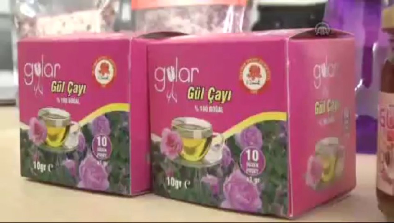 Gülün "sallama çayı" üretildi