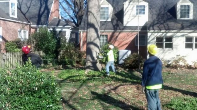 R.L. Elliott Enterprises - Residential & Commercial Tree Pruning Services In Richmond & Glen Allen VA