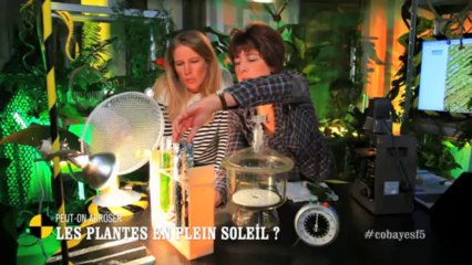 EM78 Peut-on arroser les plantes en plein soleil?