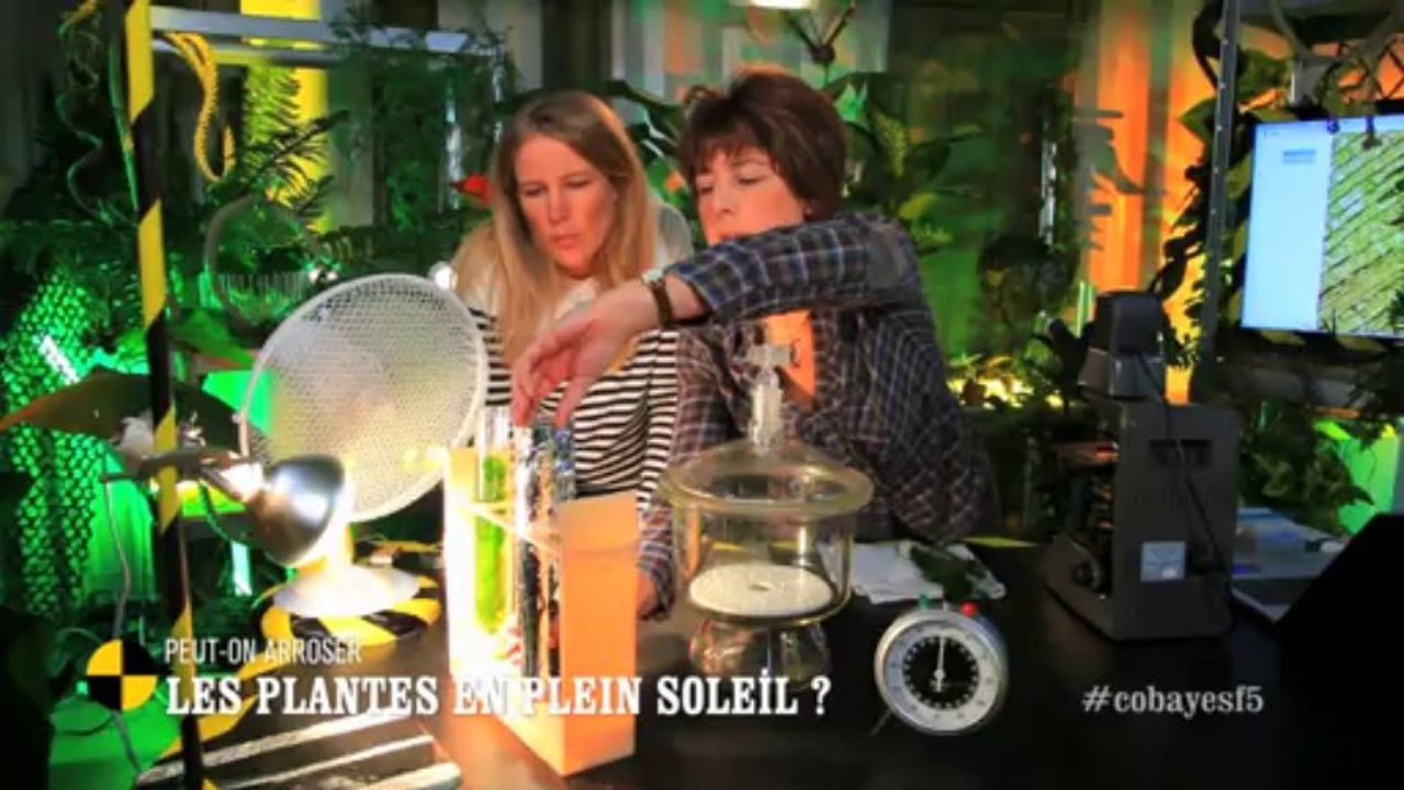 EM78 Peut-on arroser les plantes en plein soleil?