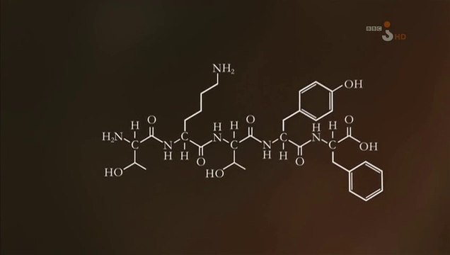 Cuda życia. Odc.3. Przepiękne formy życia.