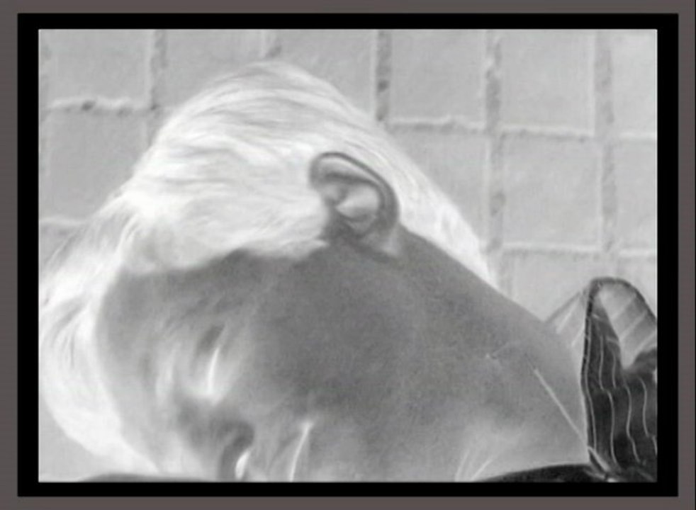 private joke var.29