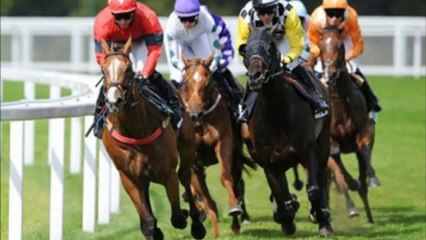 Melbourne Cup 2013: Tips, Odds & Betting Offers 🇦🇺