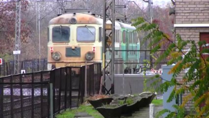 byk ciągnie dwa rumuny