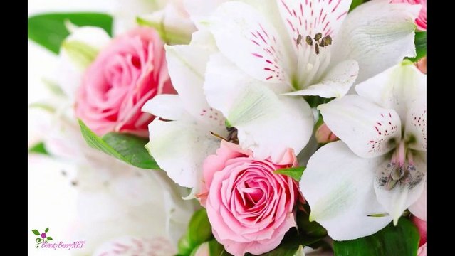 YVES SAINT LAURENT Opium ტუალეტის წყალი სპრეი