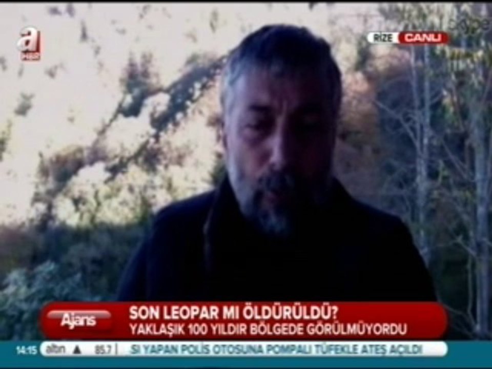 tv arşivi