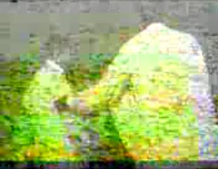 BAHRAM SHAHZADA VS KUNDEE TTBT COMPT.