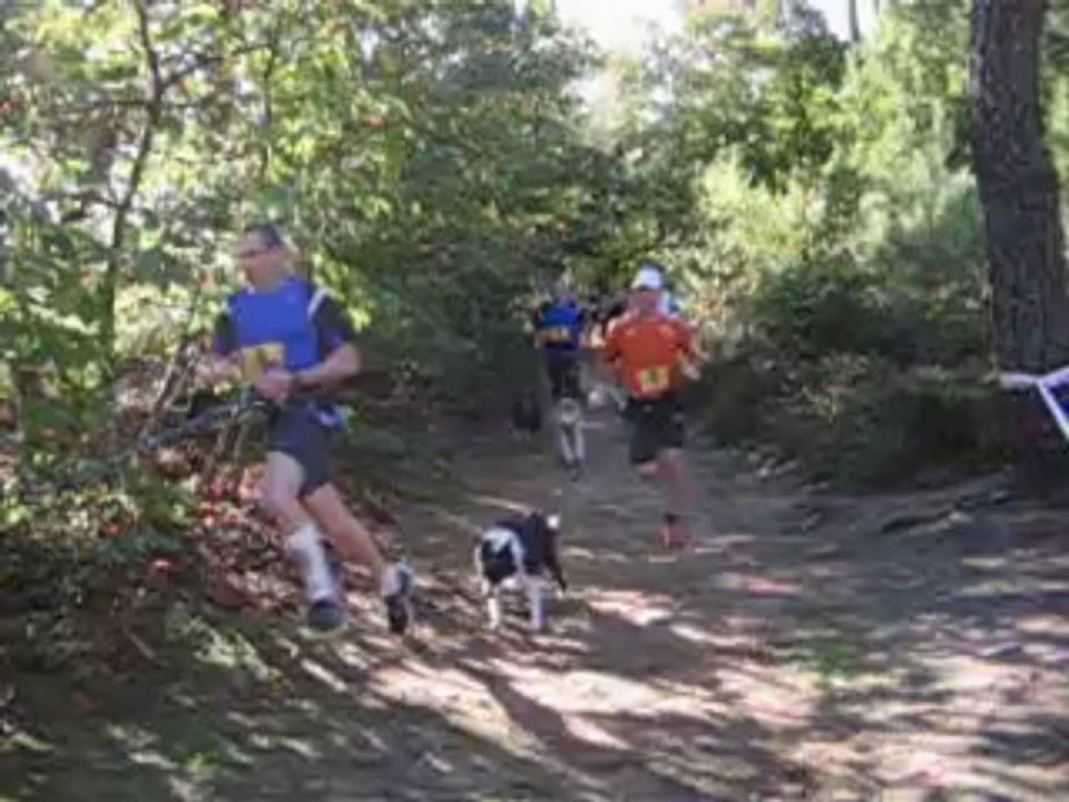 depart du canicross competition du club ccpm année 2013