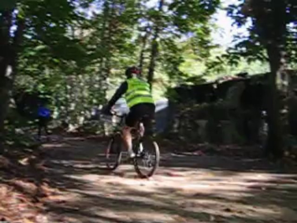 depart canicross loisirs ccpm 2013