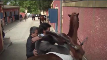 BA - Les seigneurs du Horse-Ball - Equidia Life