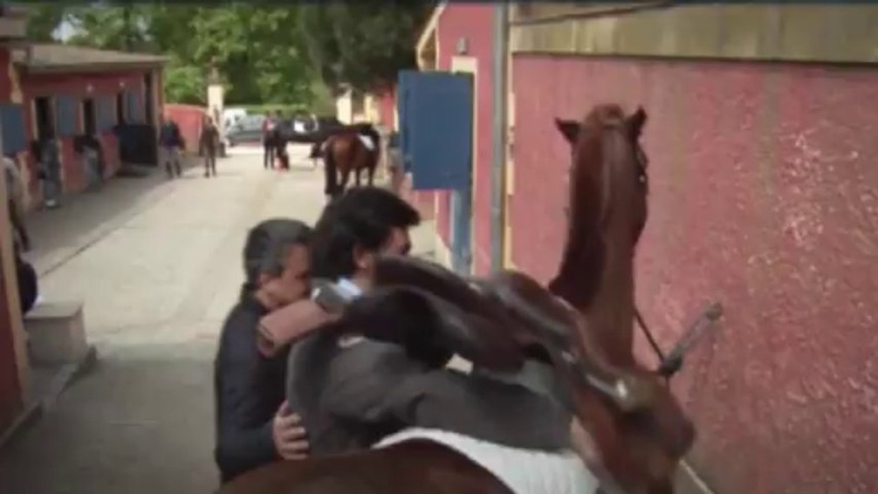 BA - Les seigneurs du Horse-Ball - Equidia Life