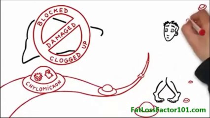 Fat Loss Factor - Detox Your Liver To Lose Fat